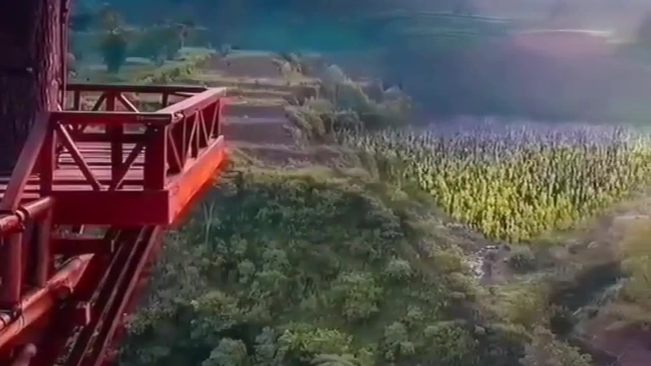 Nature Beauty