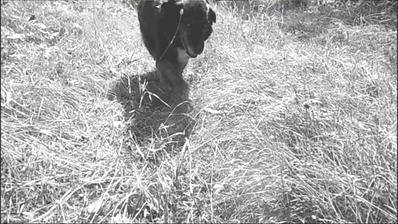 In the ruins of my memories - Indy Angel