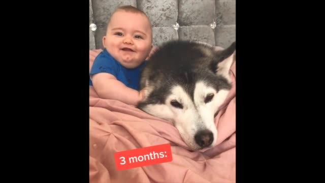 To Grow Up With A Dog