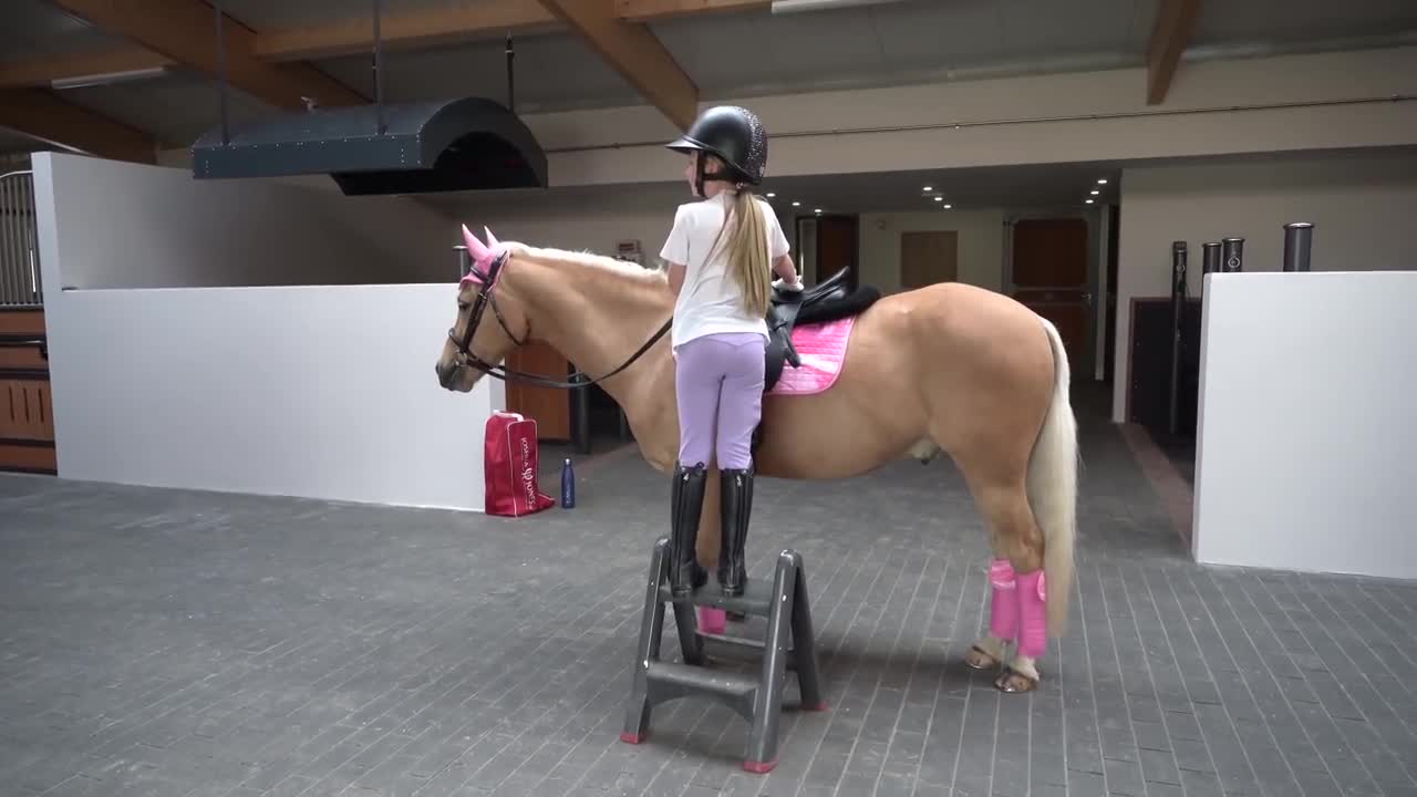 After school routine at the yard - Dressage Training