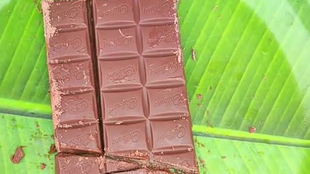 Endless chocolate Trick