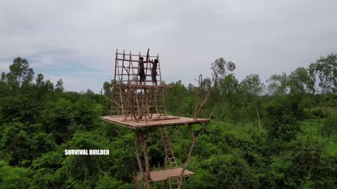 Building 15m Tree House And Swimming Pools