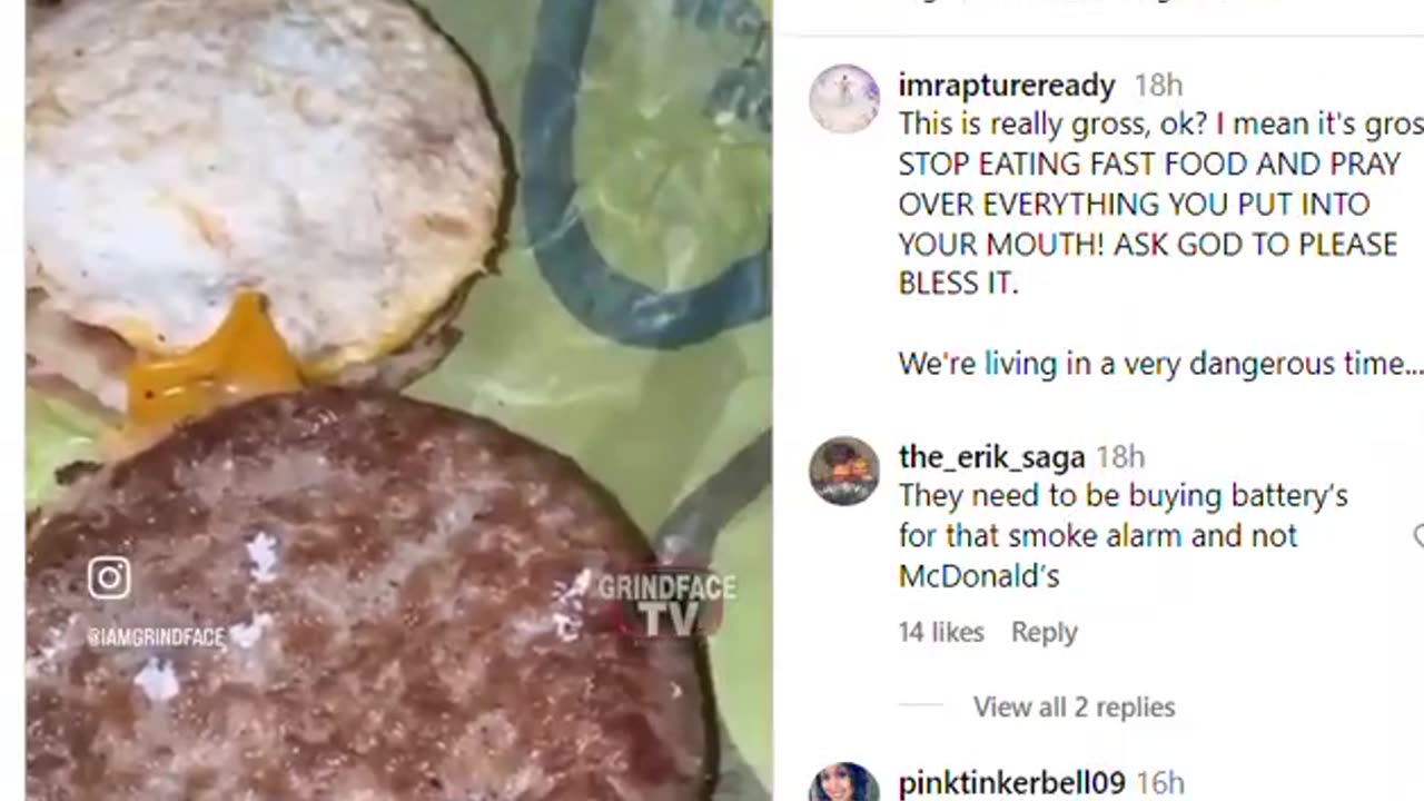 See What's Inside McDisgusting Fast Food!!!