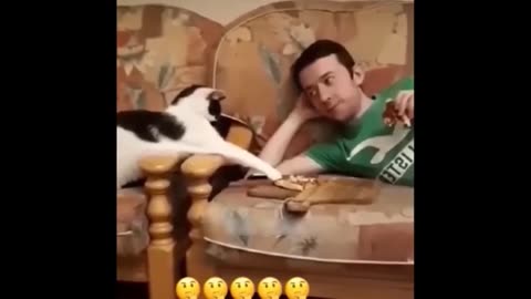 Funny Videos