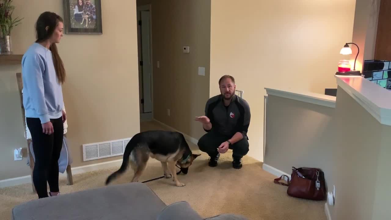 Teaching Nova to Stop Jumping on People