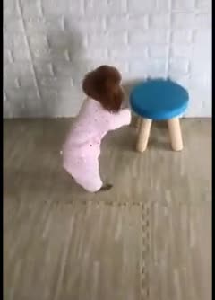 Gr liton best fun TV, Funny Video Clips # - 58