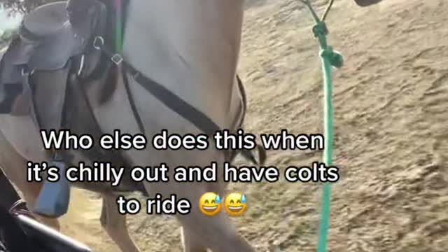 Who else does this when it's chilly out and have colts to ride