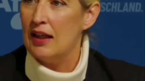 Beleidigung Politiker Majestätsbeleidigung Weidel