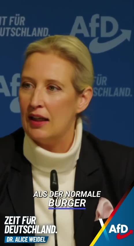 Beleidigung Politiker Majestätsbeleidigung Weidel