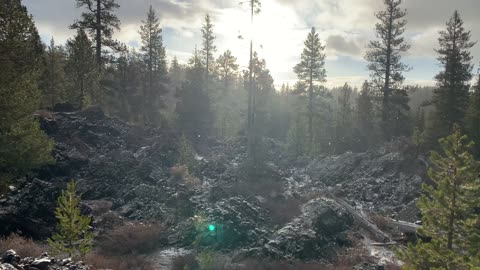 Central Oregon – Edison Sno-Park – The Forest Transitioning from Summer to Winter – 4K