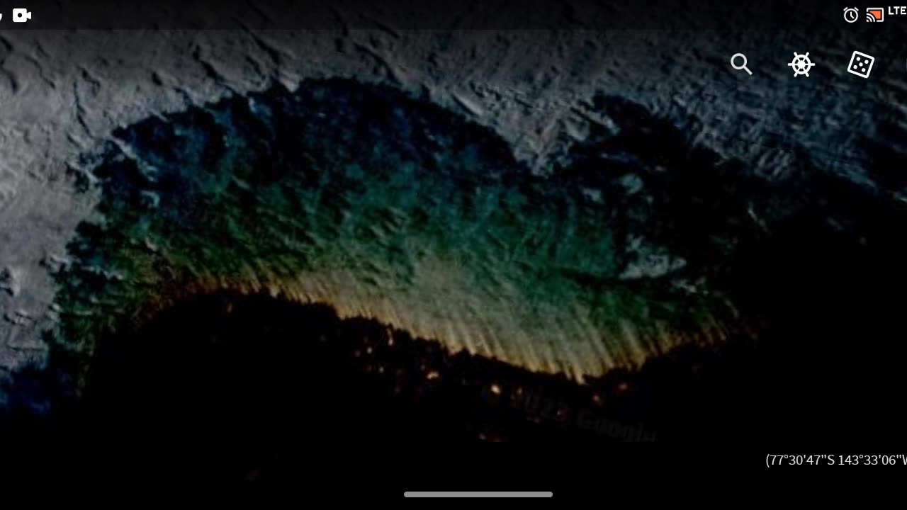 Are these TREES in Antarctica???