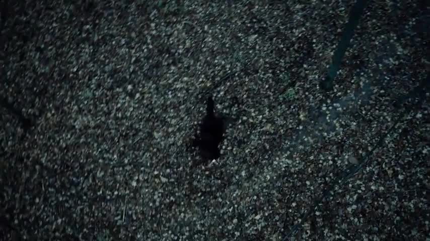Batman v Superman [IMAX] Beautiful Lie (Ultimate Edition)
