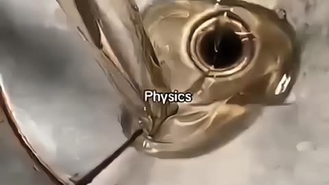 physics