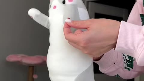 Cute and funny cat video.