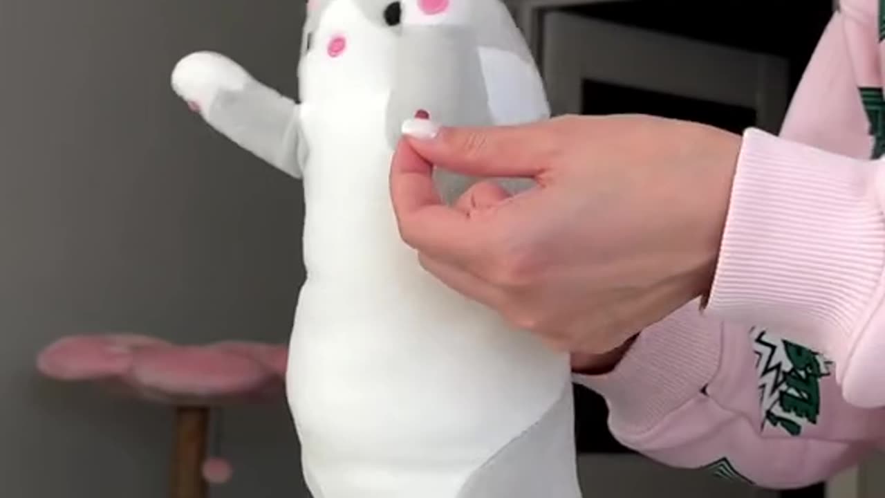 Cute and funny cat video.