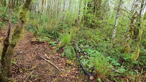 Pole Barn Trail