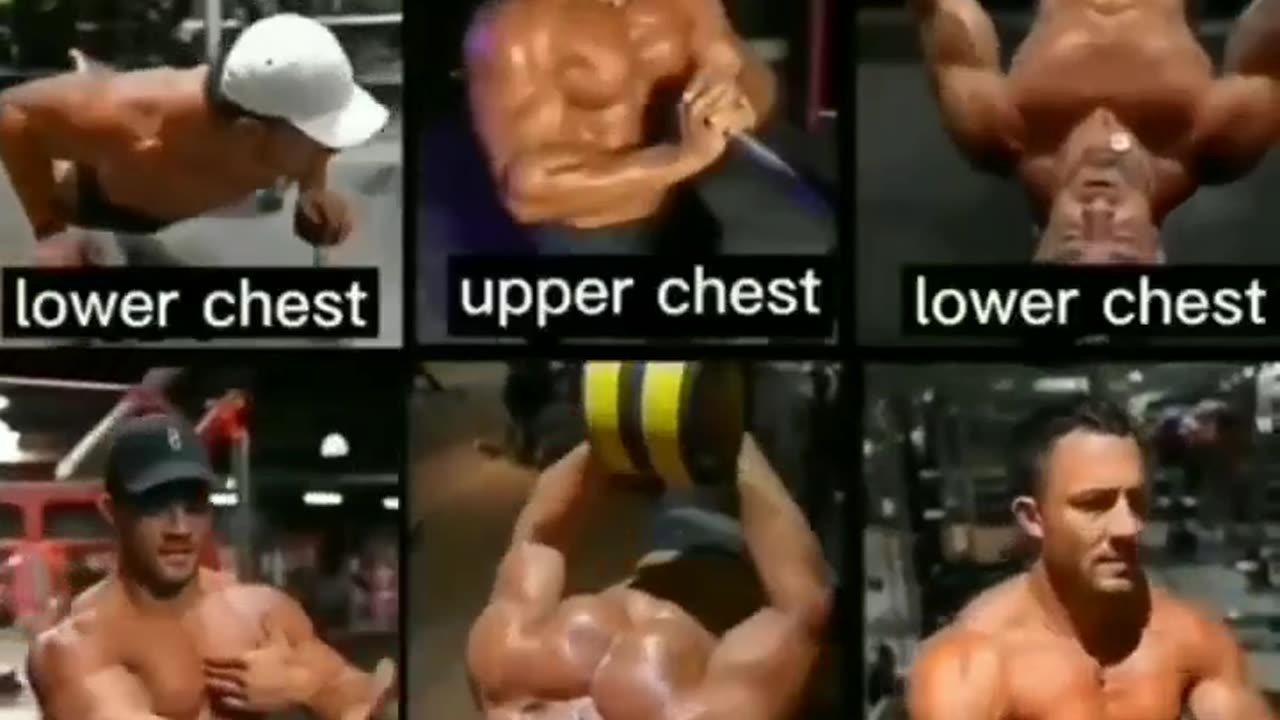 Complete Chest Workout Tips At Gym - Health & Fitness Tips