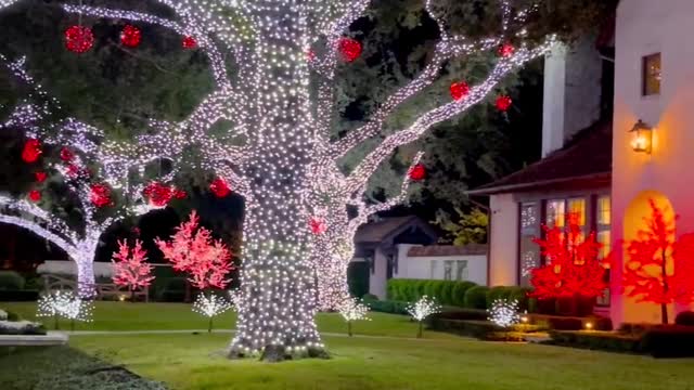Lights beauty short clip