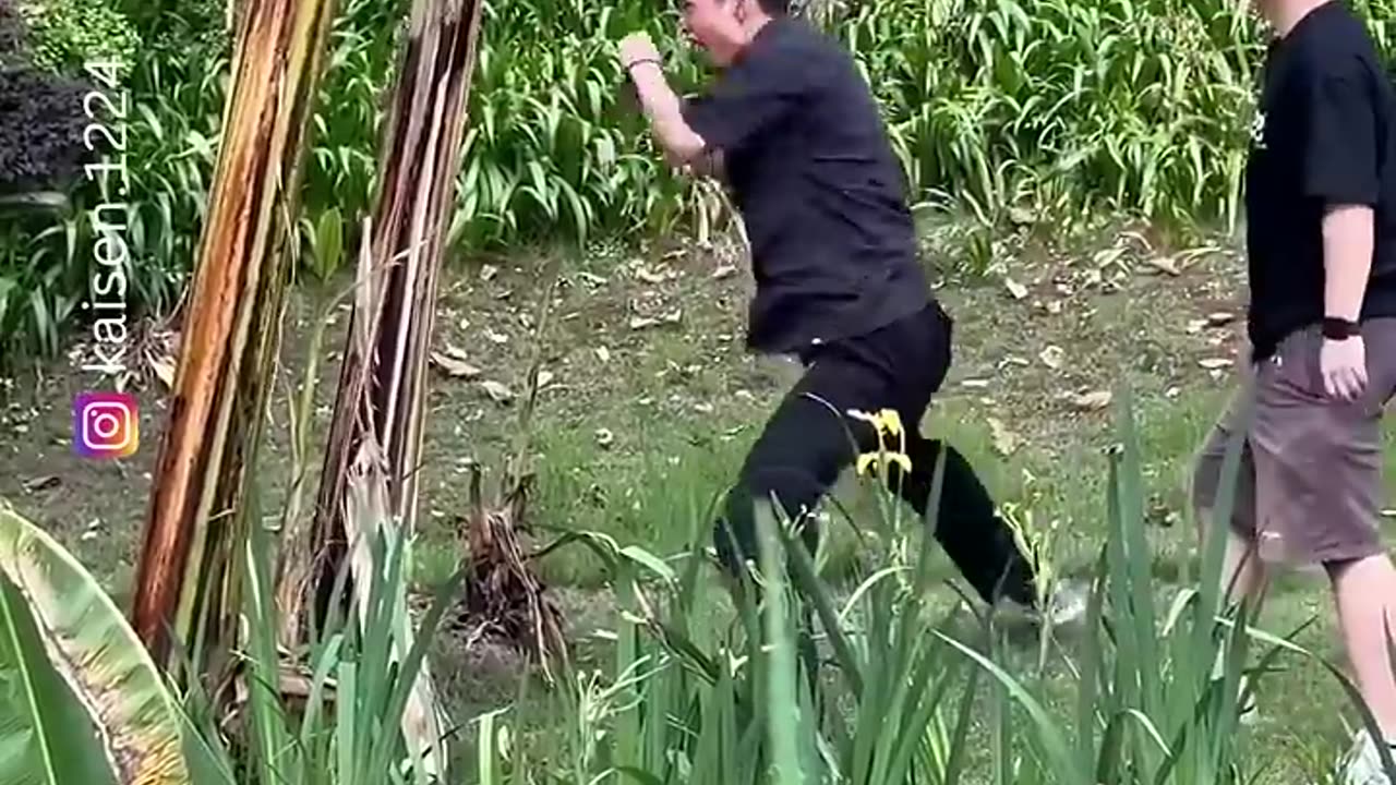 Hilarious Video Try Not To Laugh