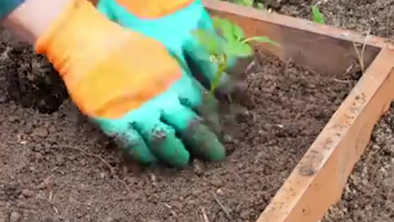 Clever Gardening Hacks