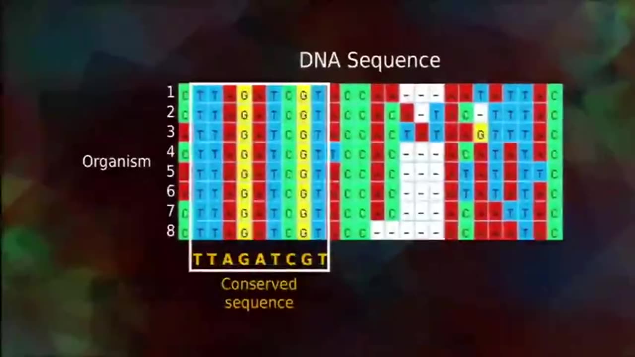 EVOLUTIONISTS HATE WHEN YOU BRING ABOUT THIS DNA UP - ANSWERS IN GENESIS