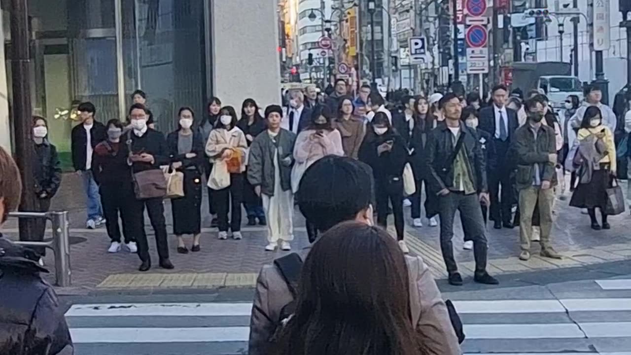 Japanese Pedestrians Obey Traffic Laws