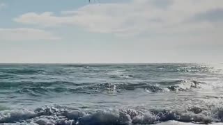 Fishing UFO Never Seen