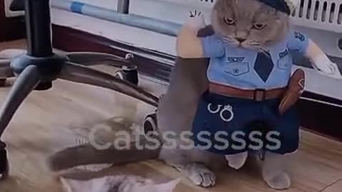 cat police officer