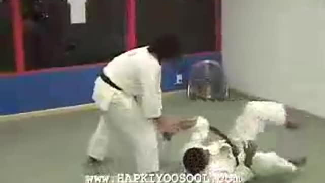 Hapkido training sample