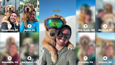 The Best Dog Selfie Compilation