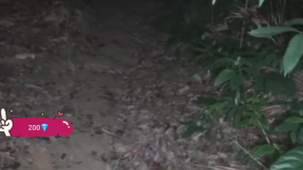 Ghost on camera paranormal activity part 79