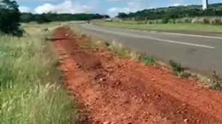 Racing motorcycles