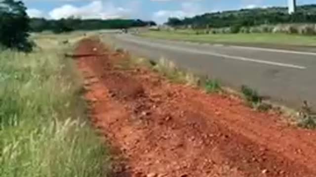 Racing motorcycles
