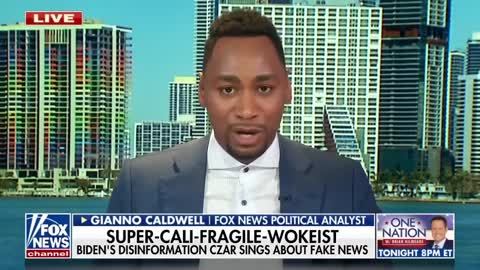 Insane Lady wants to Ban Free Speech through the DHS