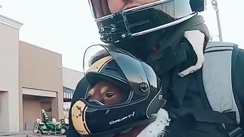 The tiny helmets 😍