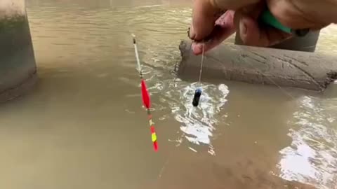 FISHING | One pull can get two fish