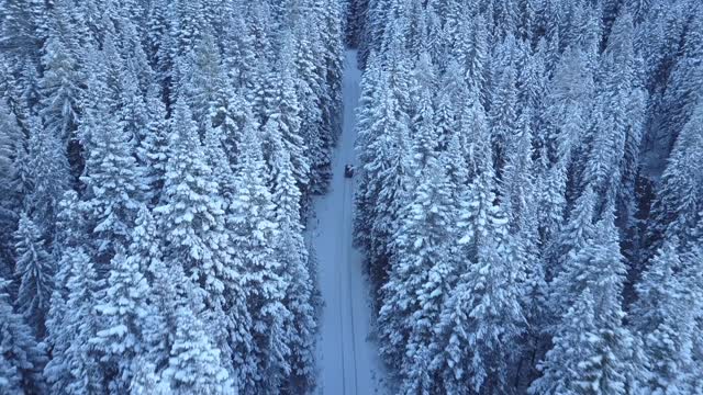 A car drives through a forest in the snow.
