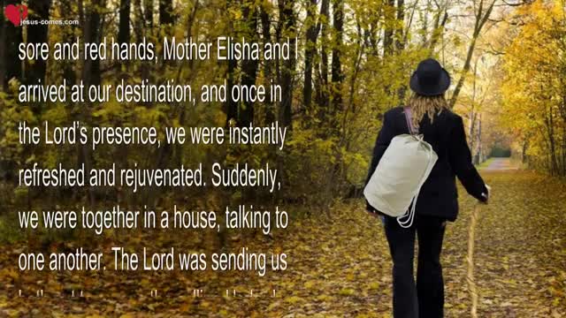 Put your Hands to the Plow & Never look back ❤️ Love Letter from Jesus Christ