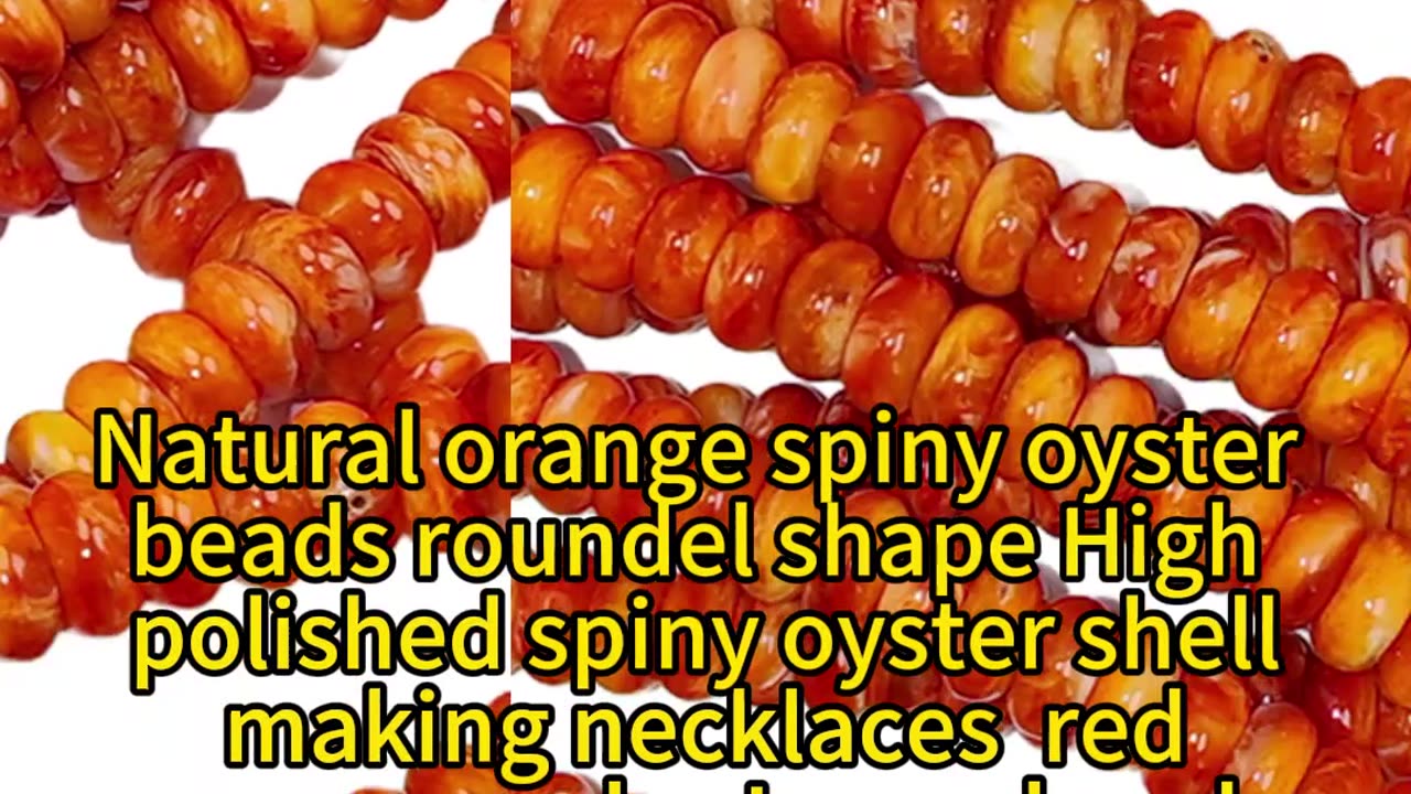 GN-20241223-05 Natural orange spiny oyster beads roundel shape High polished spiny oyster shell