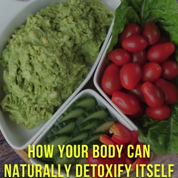 🌱 Ready to Unlock the Secrets of Health in an Exciting and Effortless Way? 📚🎉