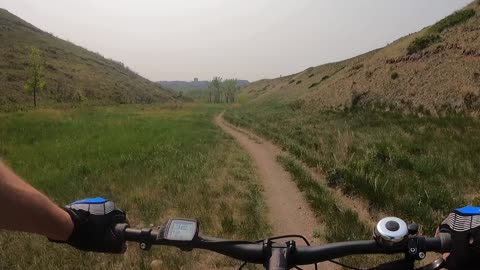 Grey Beard - Lethbridge