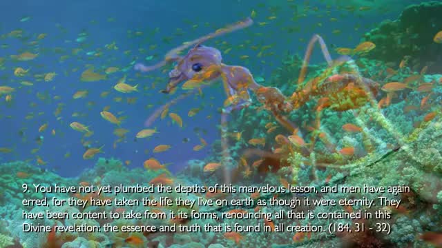 Nature & The Presence of God in it... Jesus Christ explains ❤️ The Third Testament Chapter 25