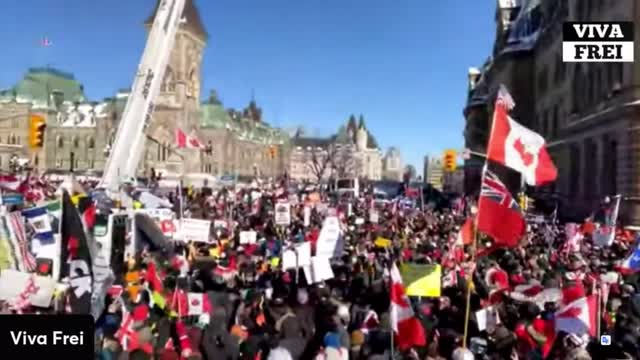 Canadians peacefully protesting for freedom! Ottawa Freedom Convoy Feb. 5th 2022