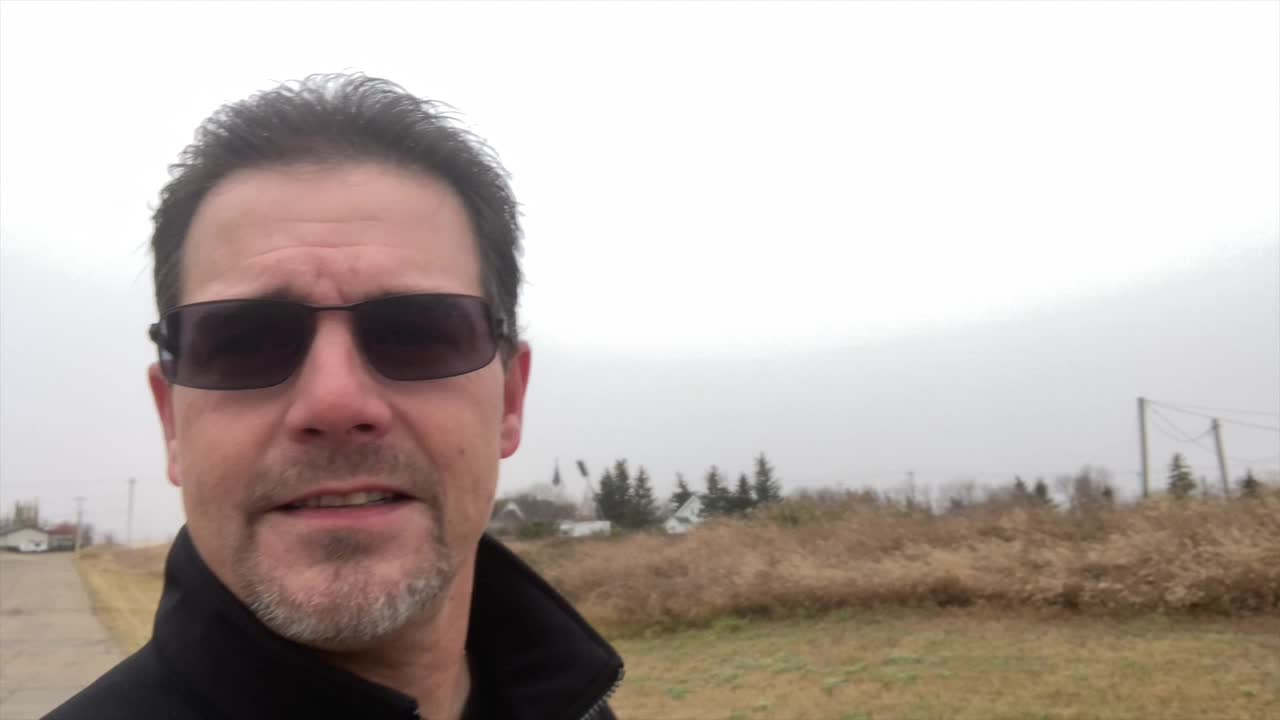 WALK AND TALK,ALGO,JASMY,MINA