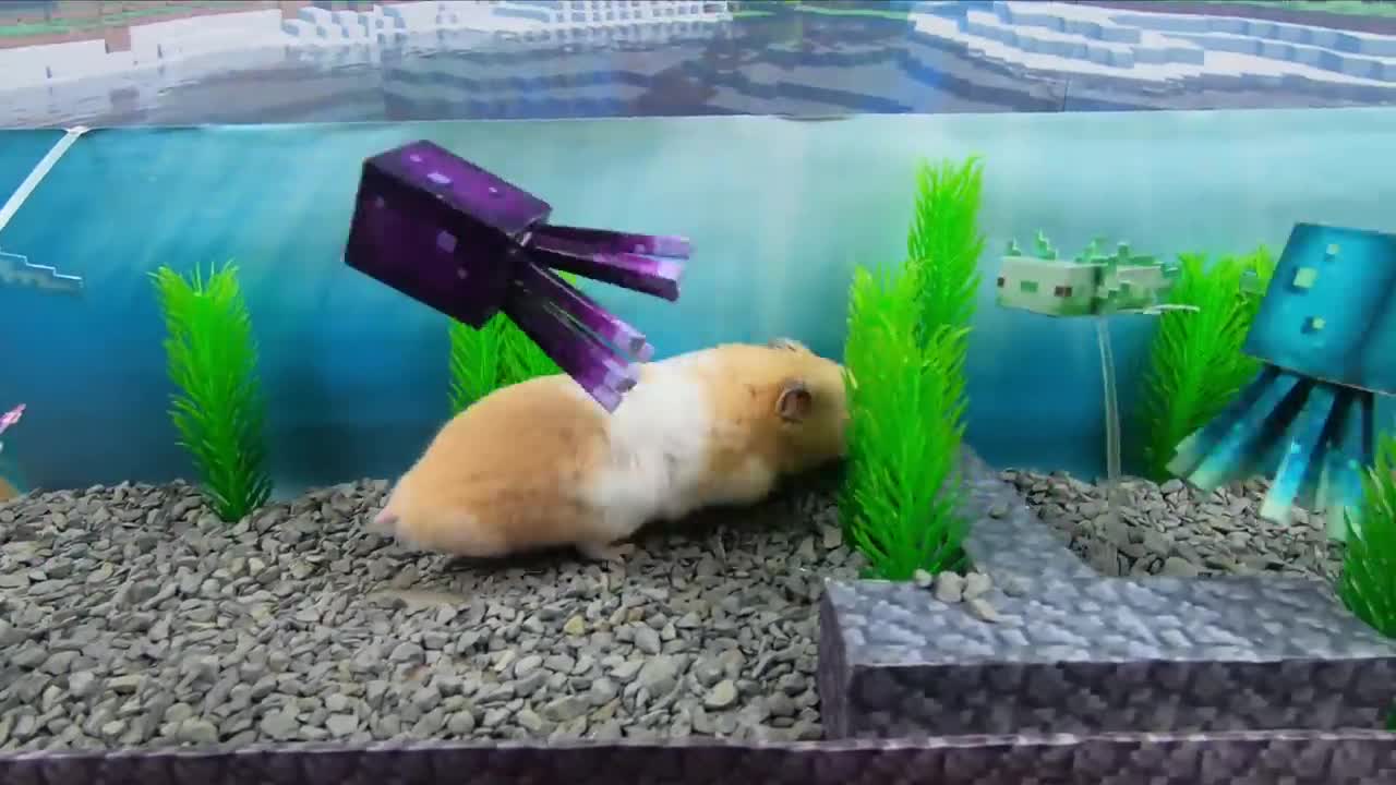 Hamster Escapes The Awesome Minecraft Maze With Underwater Obstacle Course7