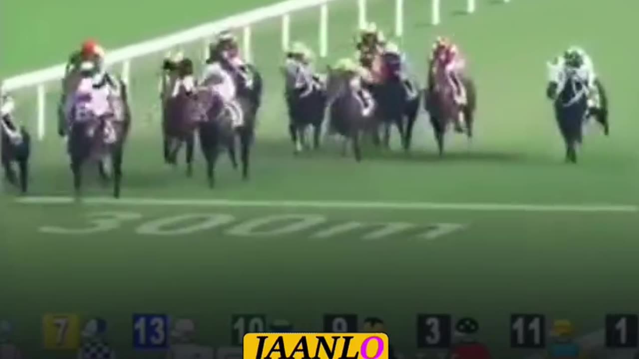 Horse Racing