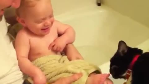 Funny Babies Laughing Hysterically at Cats#funny #babieslaughing #funnycatvideos