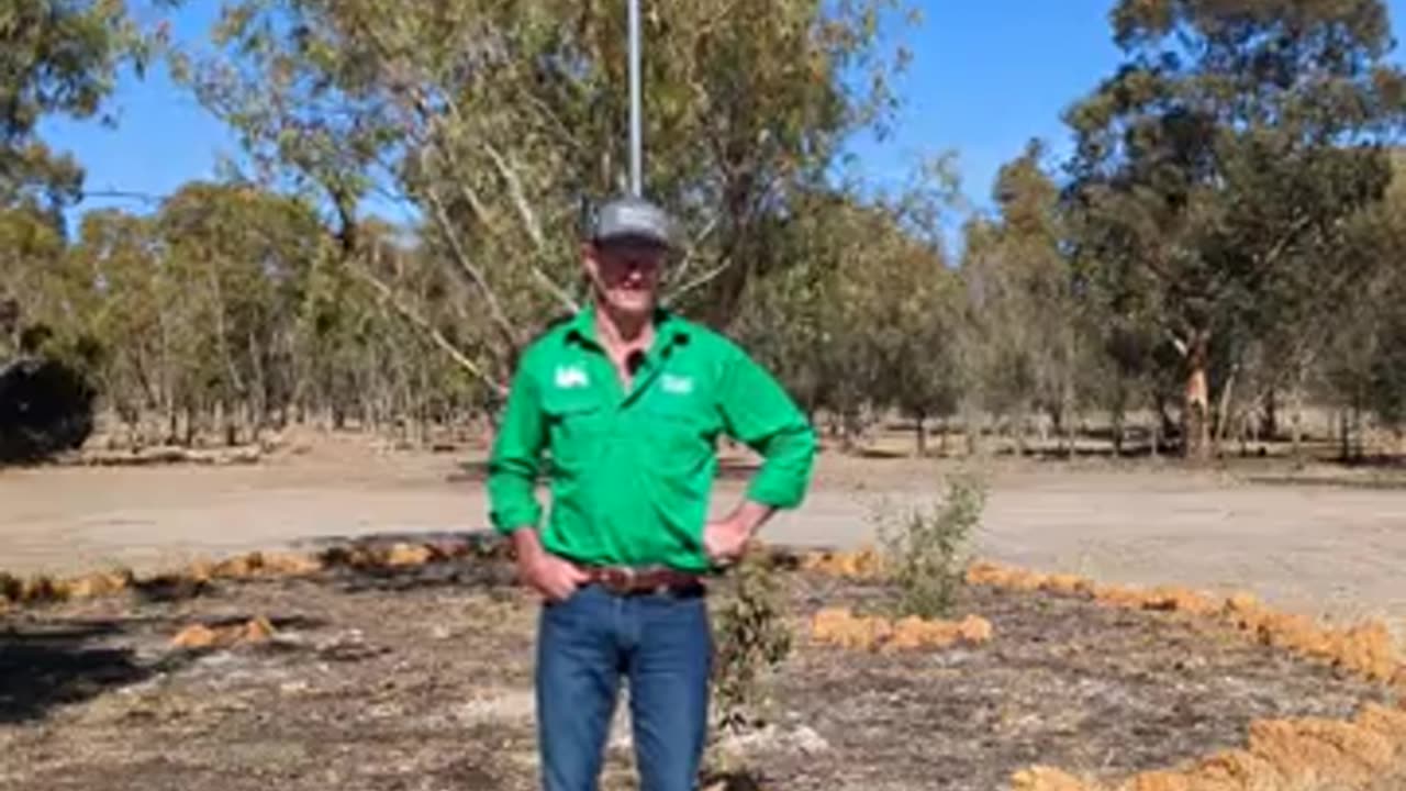 Farmer Wade daily broadcast from Tambalup, WA - Billboard Battalion 20/4/24