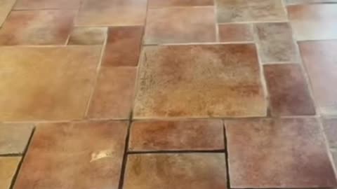 New Grout and Tile Cleaner