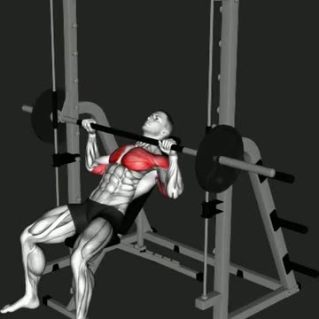 6 Quick Exercises To Increase Chest Size